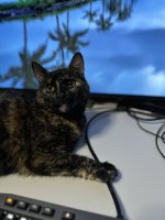 IMG_7370.jpeg