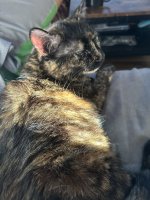 IMG_7547.jpeg