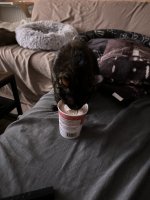 IMG_7564.jpeg