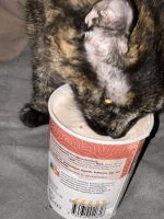 IMG_7565.jpeg
