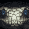 snakeeyes