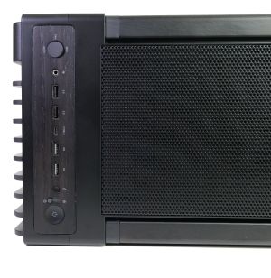 ASUS ProArt PA602 Wood Edition